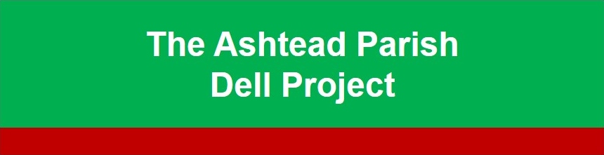 dell project banner ashtead